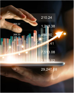 Domo consulting for finance sector