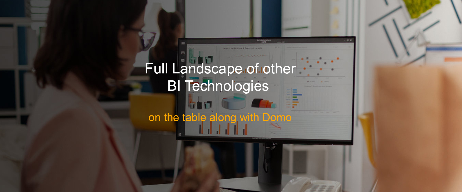 Domo partner network