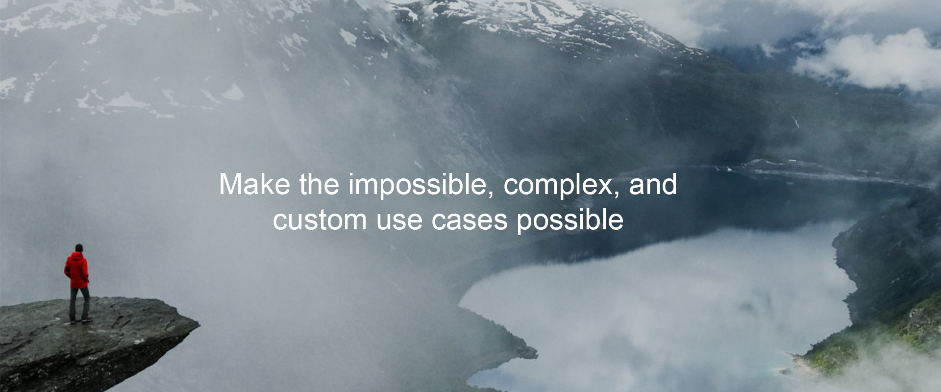 Domo partner network