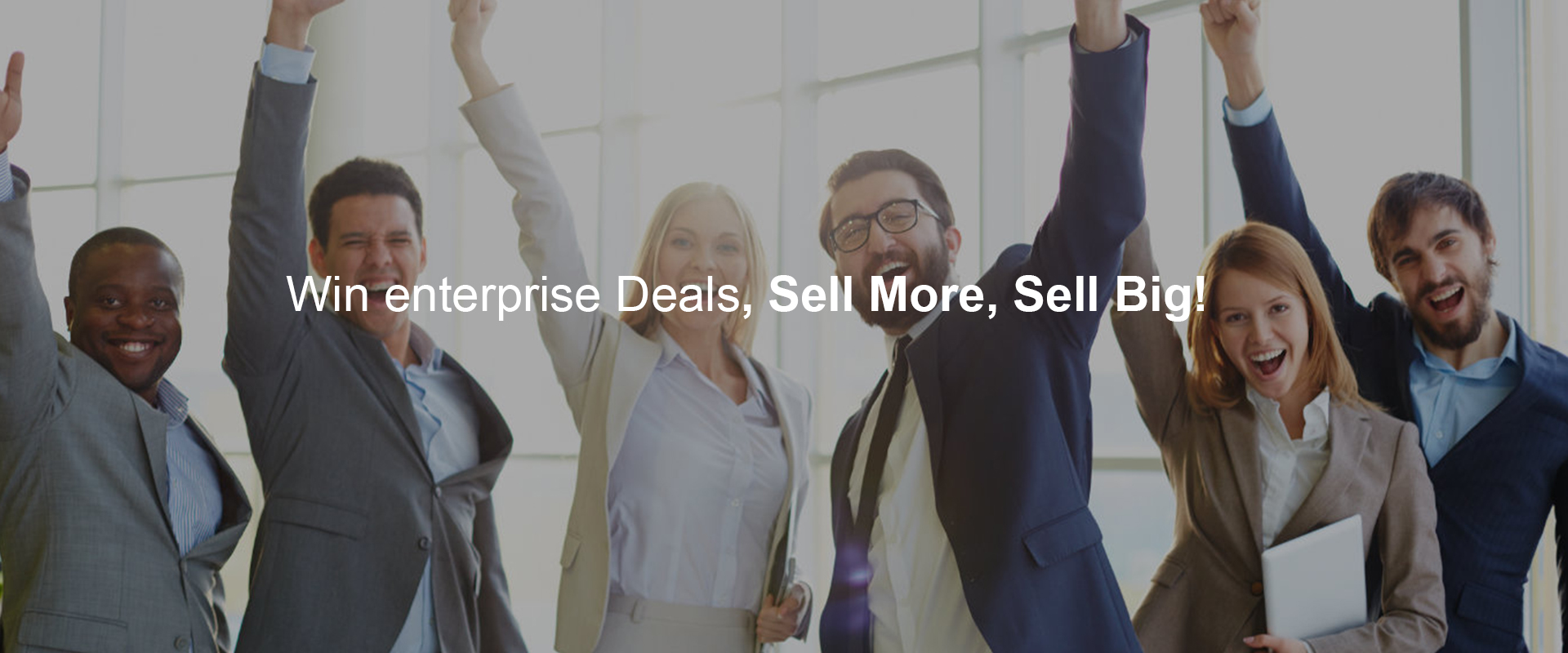 Domo BI Consultant Program