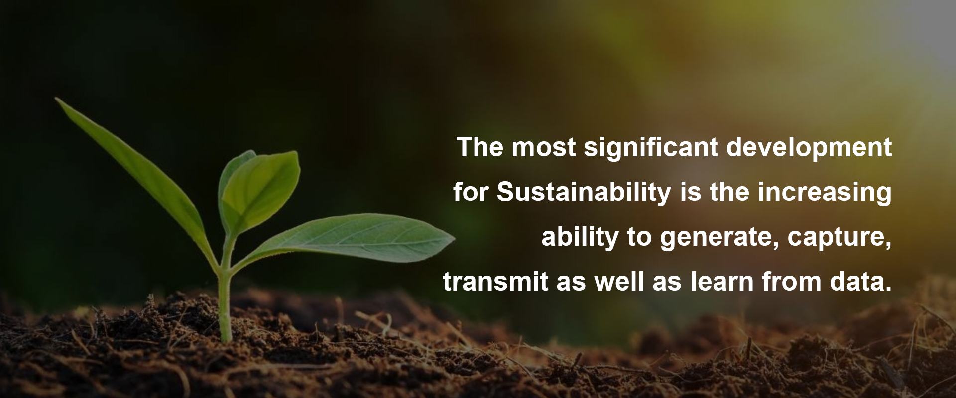 Manzeera Sustainability Consulting