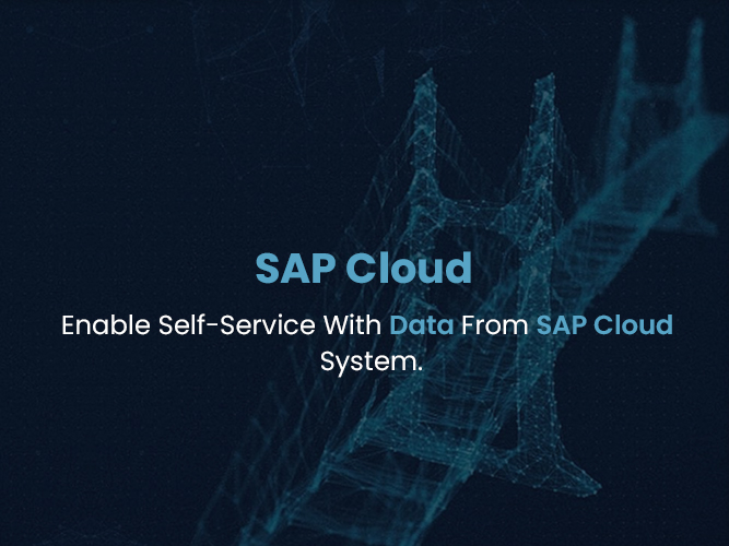 BIRST dashboard design