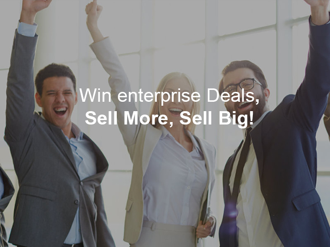 Domo BI Partner Program