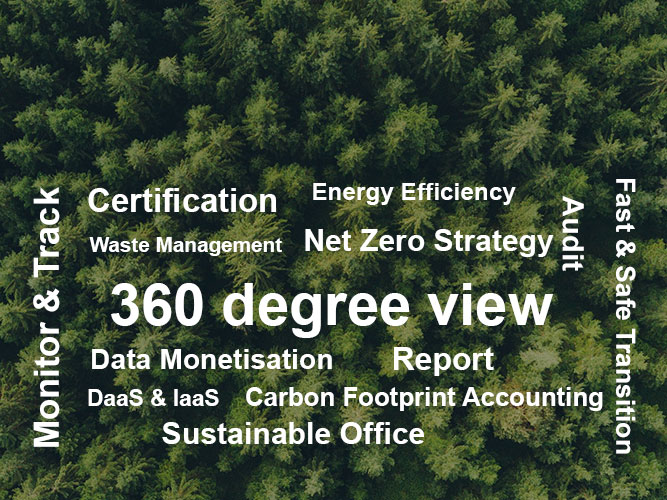 Sustainability Consulting