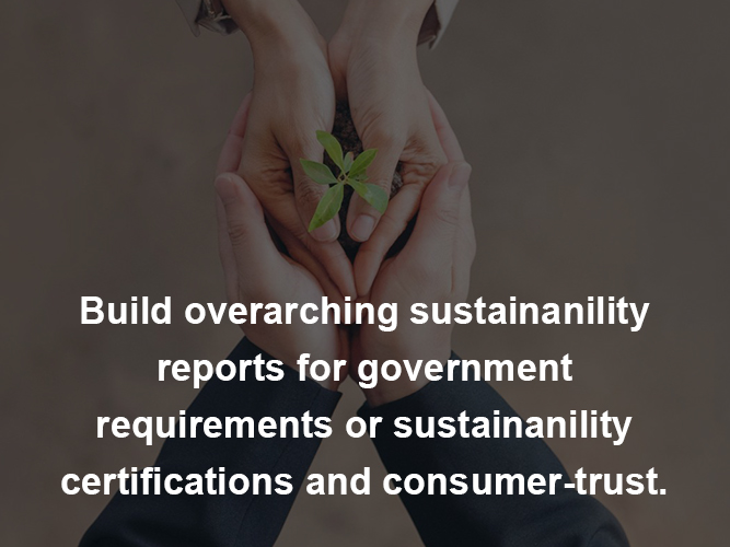 Sustainability Consulting