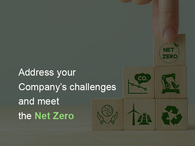 Sustainability Consultings