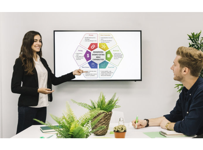 Domo solutions and consulting services