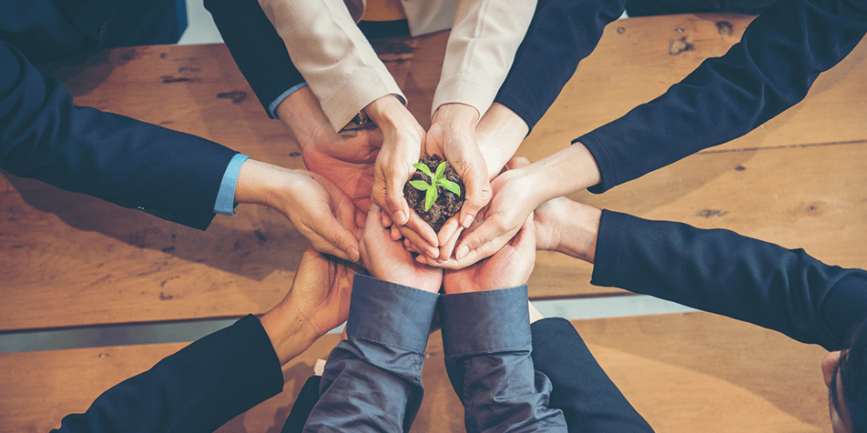 Sustainability Consultings